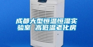 成都大型恒温恒湿实验室 高低温老化房