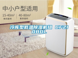 行业新闻冷库型低温除湿机组 CFZ10BDL