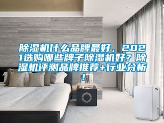 企业新闻除湿机什么品牌最好，2021选购哪些牌子除湿机好？除湿机评测品牌推荐+行业分析！