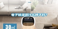 电子除湿器什么牌子好？