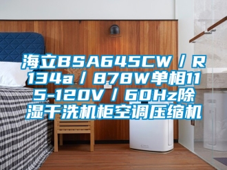 行业新闻海立BSA645CW／R134a／878W单相115-120V／60Hz除湿干洗机柜空调压缩机