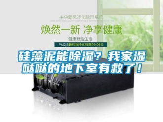 企业新闻硅藻泥能除湿？我家湿哒哒的地下室有救了！