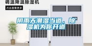 阴雨天潮湿当道，除湿机为你开道