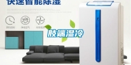 肢端湿冷