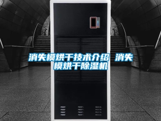行业新闻消失模烘干技术介绍 消失模烘干除湿机