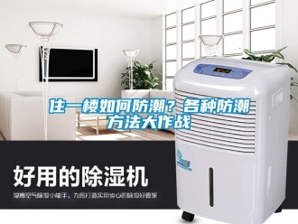 常见问题住一楼如何防潮？各种防潮方法大作战