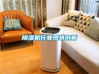 企业新闻除湿机行业现状剖析