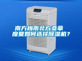 常见问题南方梅雨北方桑拿 度夏如何选择除湿机？