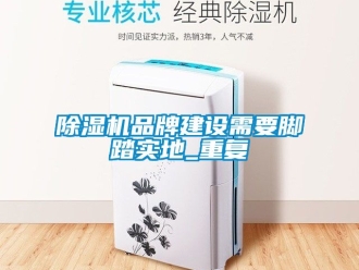 企业新闻除湿机品牌建设需要脚踏实地_重复