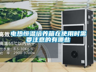 知识百科电热恒温培养箱在使用时需要注意的有哪些
