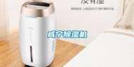 咸宁除湿机
