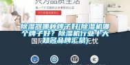 除湿器哪种牌子好(除湿机哪个牌子好？除湿机行业十大知名品牌汇总)