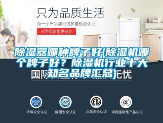 企业新闻除湿器哪种牌子好(除湿机哪个牌子好？除湿机行业十大知名品牌汇总)