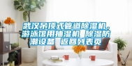 武汉吊顶式管道除湿机，游泳馆用抽湿机 除湿防潮设备 返回列表页