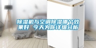 除湿机与空调除湿哪个效果好 今天为你详细分析