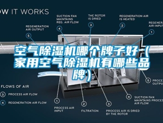 企业新闻空气除湿机哪个牌子好（家用空气除湿机有哪些品牌）