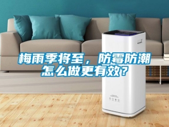 常见问题梅雨季将至，防霉防潮怎么做更有效？