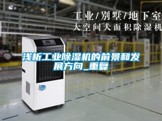 常见问题浅析工业除湿机的前景和发展方向_重复