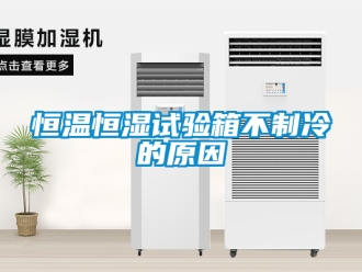 知识百科恒温恒湿试验箱不制冷的原因