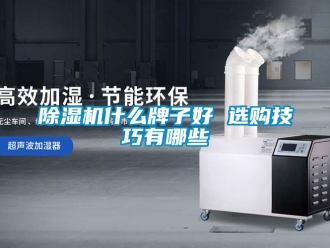 行业新闻除湿机什么牌子好 选购技巧有哪些