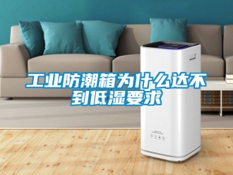 常见问题工业防潮箱为什么达不到低湿要求