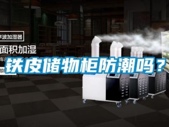 常见问题铁皮储物柜防潮吗？