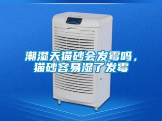 常见问题潮湿天猫砂会发霉吗，猫砂容易湿了发霉