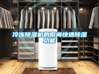 行业新闻冷冻除湿机的瞬间快速除湿功能