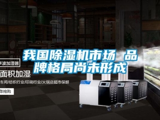 知识百科我国除湿机市场 品牌格局尚未形成