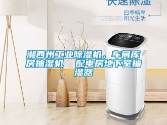 常见问题湘西州工业除湿机，车间库房抽湿机  配电房地下室抽湿器