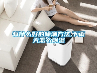 企业新闻有什么好的除潮方法,下雨天怎么除湿