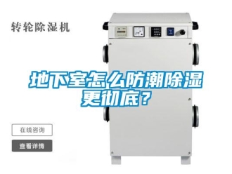 企业新闻地下室怎么防潮除湿更彻底？