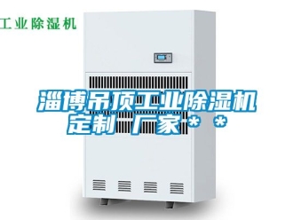 企业新闻淄博吊顶工业除湿机定制 厂家＊＊