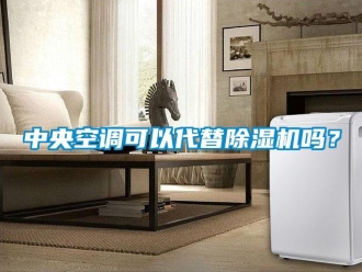 行业新闻中央空调可以代替除湿机吗？