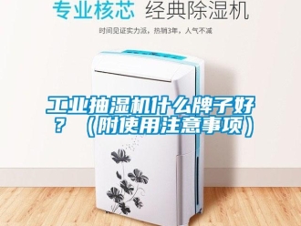 企业新闻工业抽湿机什么牌子好？（附使用注意事项）