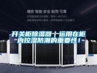 行业新闻开关柜除湿器｜运用在柜内控湿防潮的重要性！