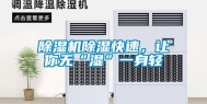 除湿机除湿快速，让你无“湿”一身轻