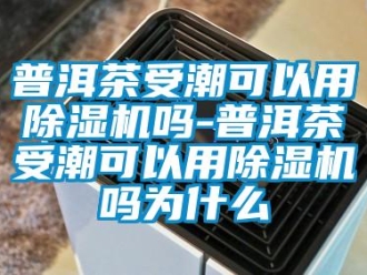 行业新闻普洱茶受潮可以用除湿机吗-普洱茶受潮可以用除湿机吗为什么