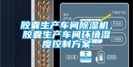 胶囊生产车间除湿机，胶囊生产车间环境湿度控制方案
