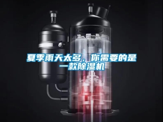 行业新闻夏季雨天太多，你需要的是一款除湿机