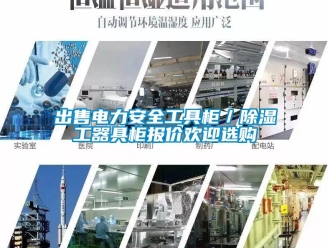 企业新闻出售电力安全工具柜／除湿工器具柜报价欢迎选购