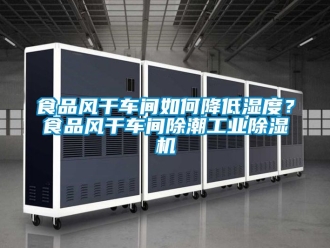 常见问题食品风干车间如何降低湿度？食品风干车间除潮工业除湿机