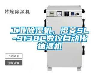 常见问题工业除湿机，湿菱SL-9138C数控自动化抽湿机