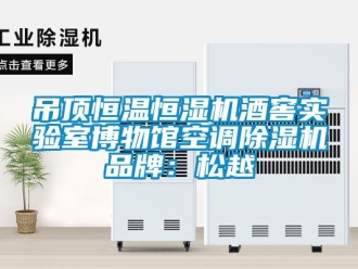 企业新闻吊顶恒温恒湿机酒窖实验室博物馆空调除湿机品牌：松越