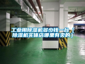 常见问题工业用除湿机多少钱一台（除湿机实体店哪里有卖的）