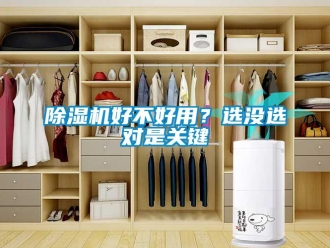常见问题除湿机好不好用？选没选对是关键