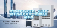 高温烘干型除湿机，让挂面烘干变的更简单--高温除湿机专题