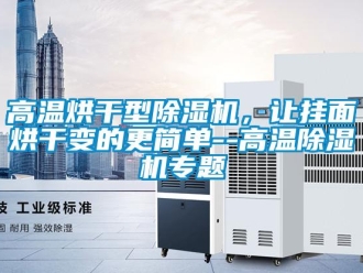 企业新闻高温烘干型除湿机，让挂面烘干变的更简单--高温除湿机专题