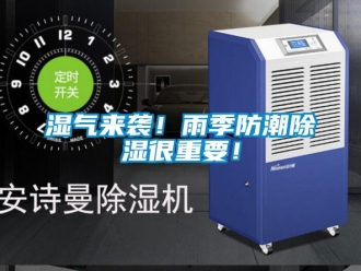 常见问题湿气来袭！雨季防潮除湿很重要！