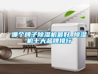 企业新闻哪个牌子除湿机最好_除湿机十大品牌排行